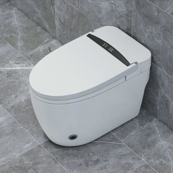 Bồn cầu thông minh tự động napolon 7058